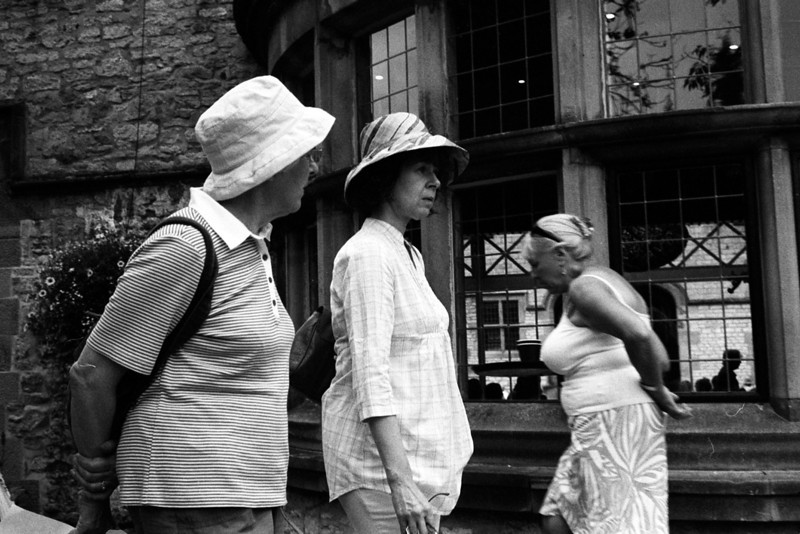 img338-L.jpg