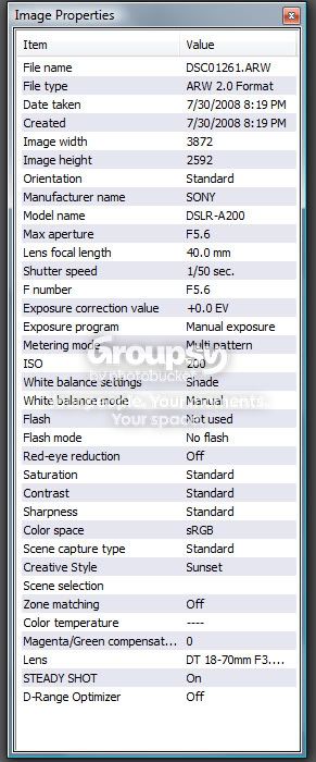 1261exif.jpg