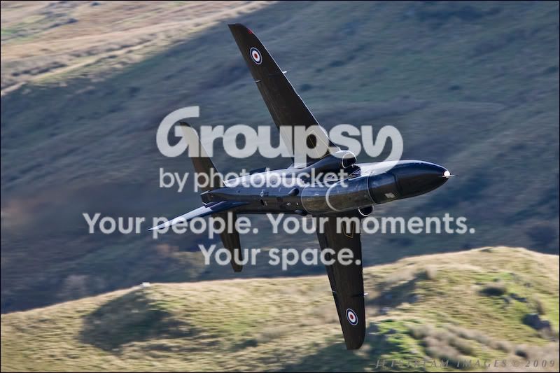Hawk2.jpg