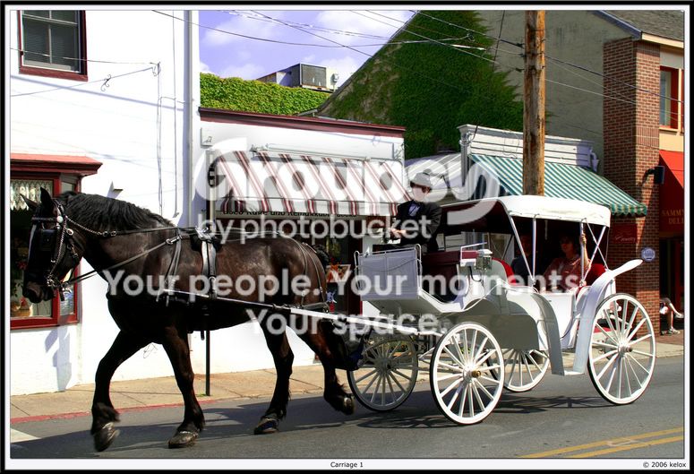 horse1framed.jpg