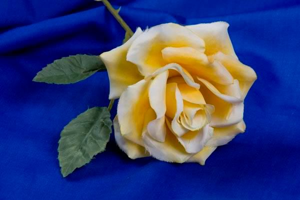 Photoclub-0186.jpg