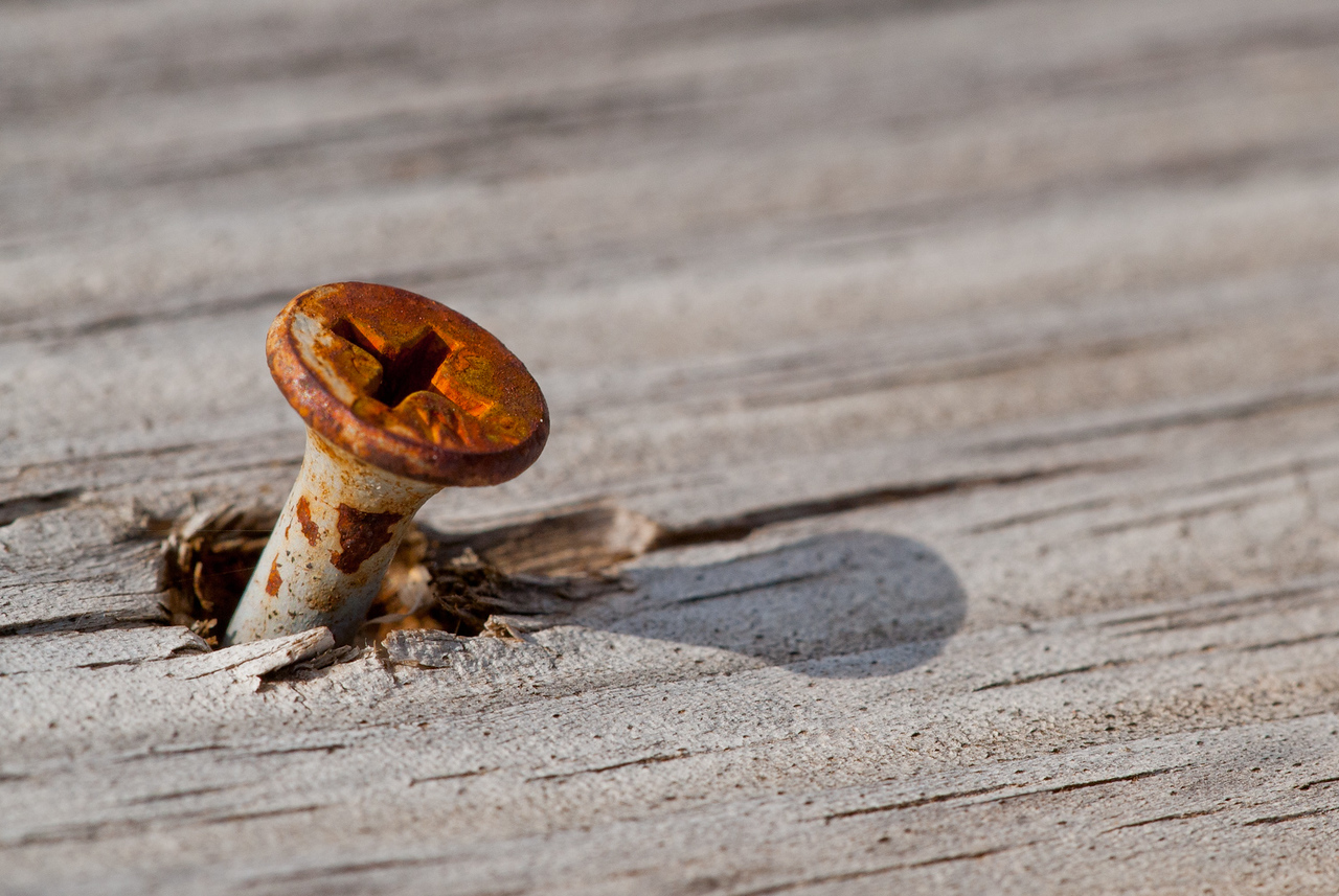 DSC1819-X2.jpg
