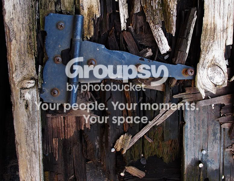 wood103111.jpg