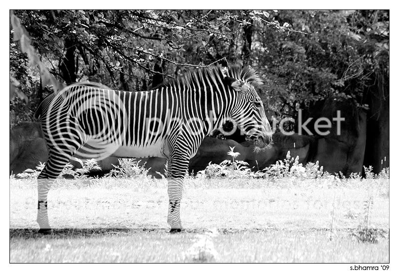 DSC_0197_edit.jpg