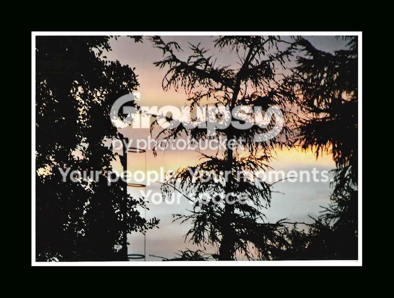 sunsetborder.jpg