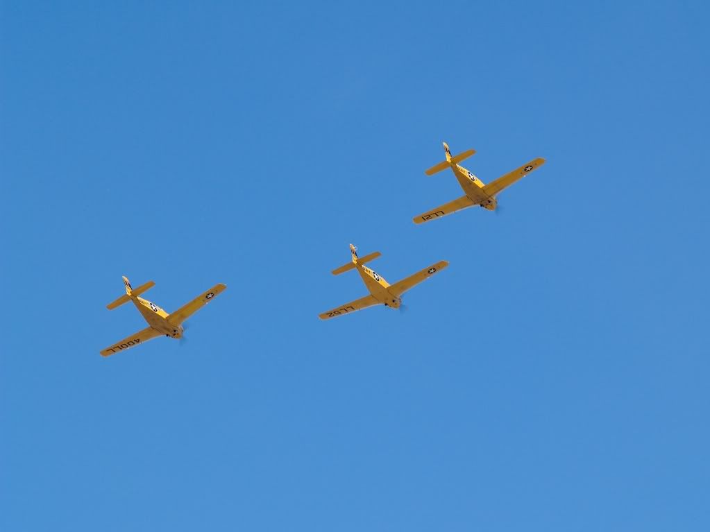 P1011545.jpg