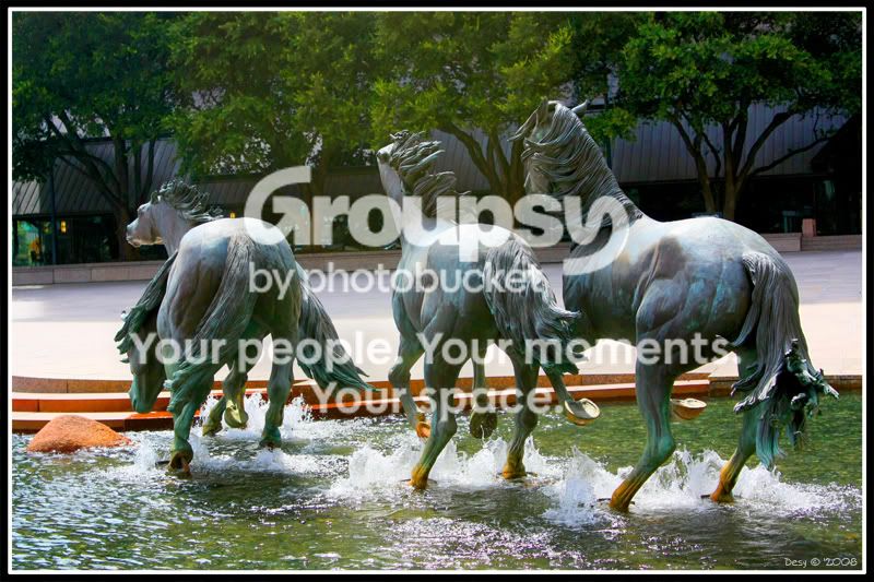 IMG_0877.jpg