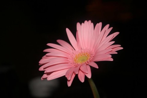 2297890872_23b470eb10.jpg