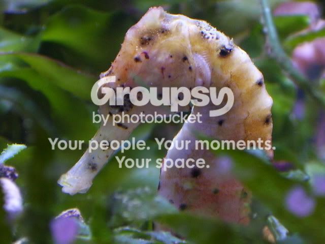 100_0828.jpg