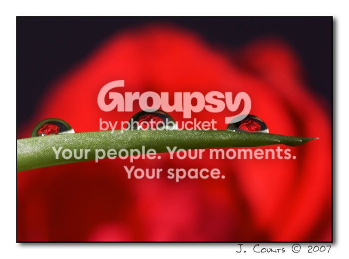 IMGP8124web.jpg