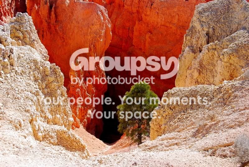 BryceCanyon.jpg