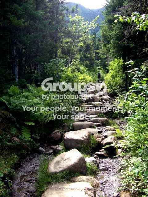 Path.jpg