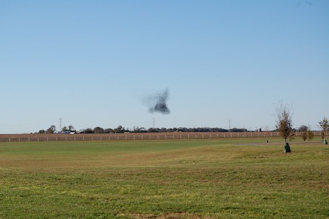DSC_1679.JPG