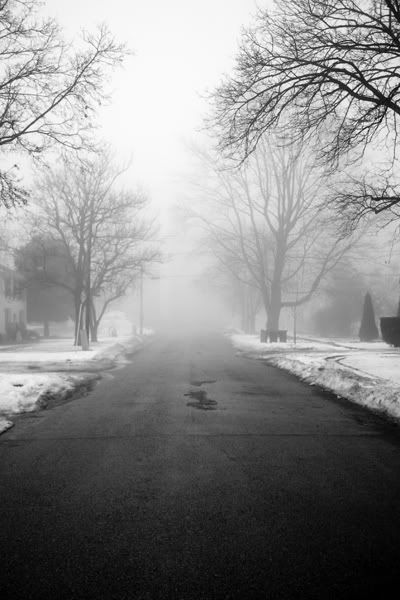 Fog2SM.jpg