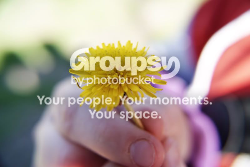 flower.jpg