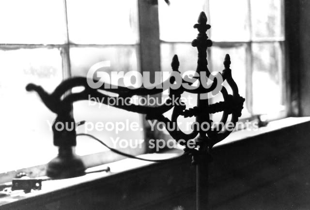 shoot2004.jpg
