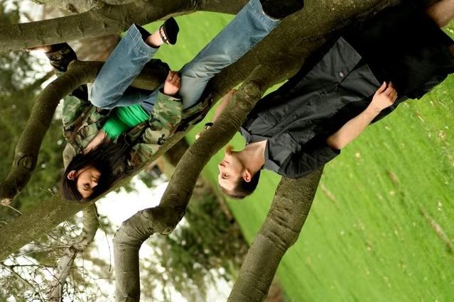 mjtree.jpg