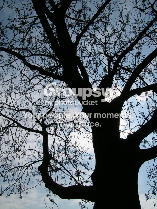 PICT0012web.jpg