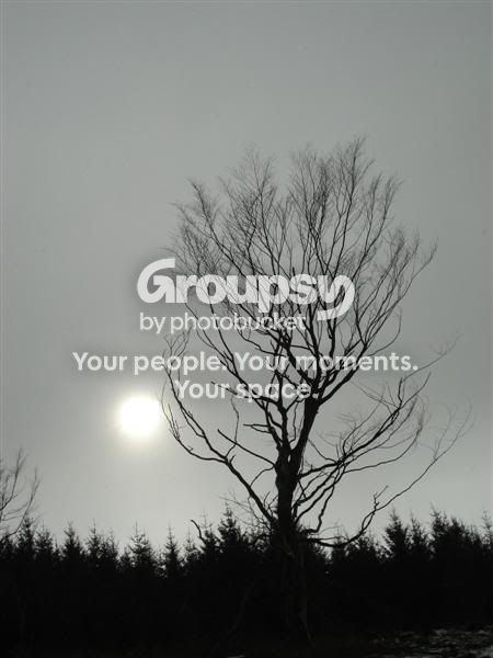 LowSun-1.jpg