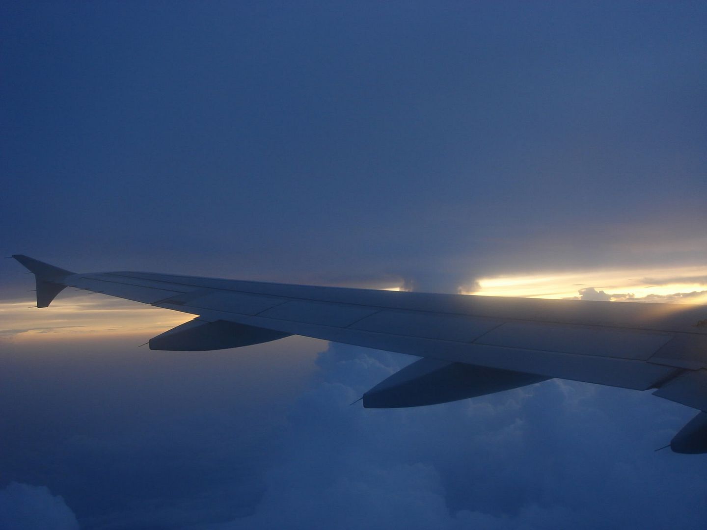 DN720-Wing-10.jpg
