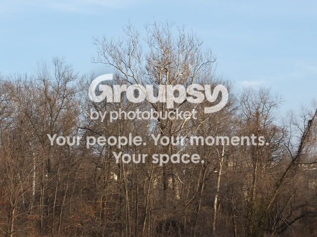 DSCF0905.jpg