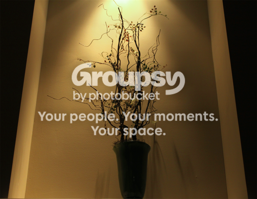 plantsihlouette.png