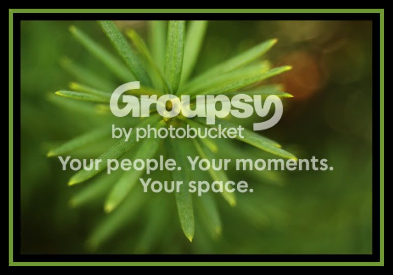 MeCrissyPhotography108.jpg