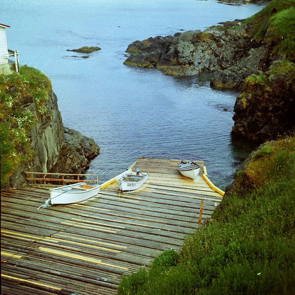 1207728945_dGYHz-L.jpg