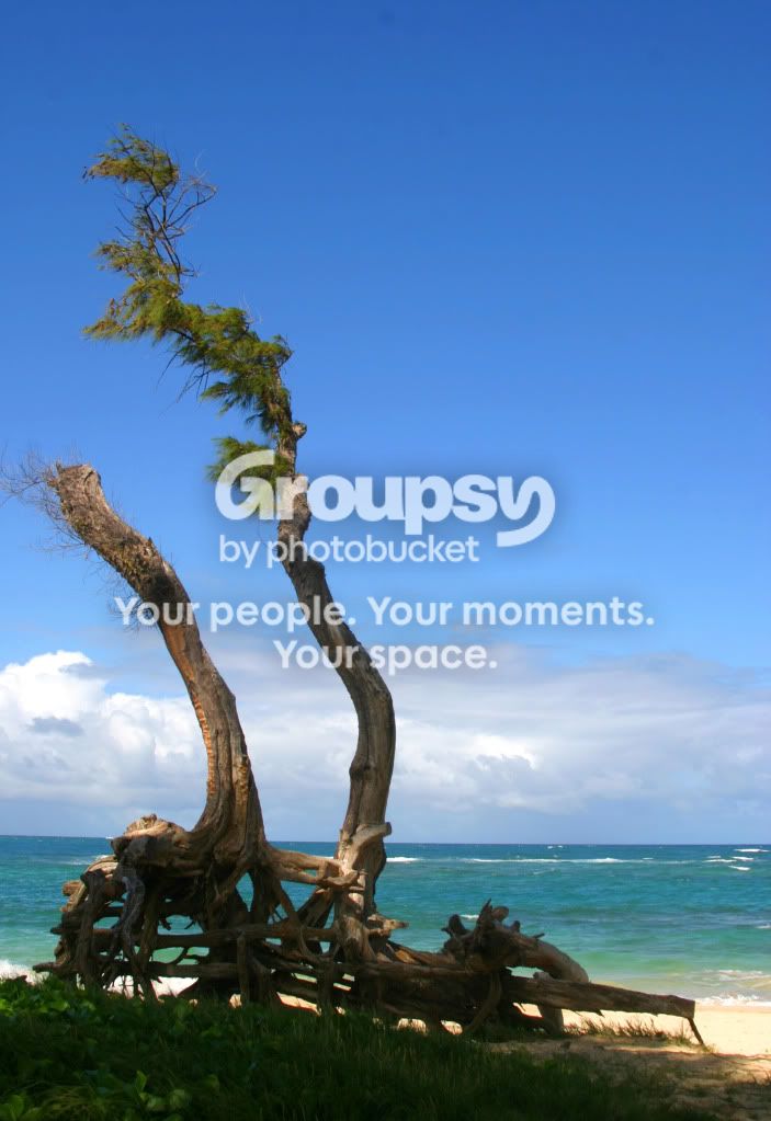 IMG_4824hgj.jpg