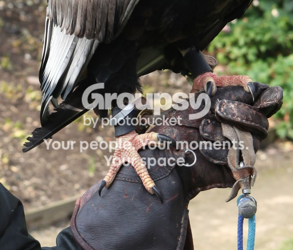 IMG_0097crop100.jpg