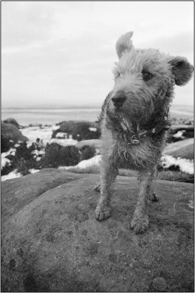 Stanage974-L.jpg