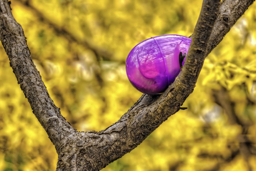 IMG_5245_tonemapped.jpg