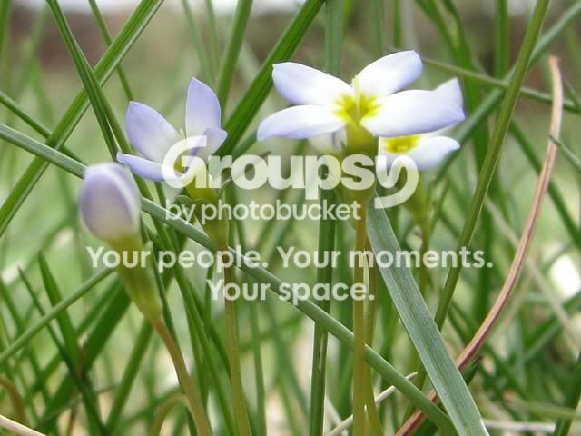 jayjayphotos001-2.jpg