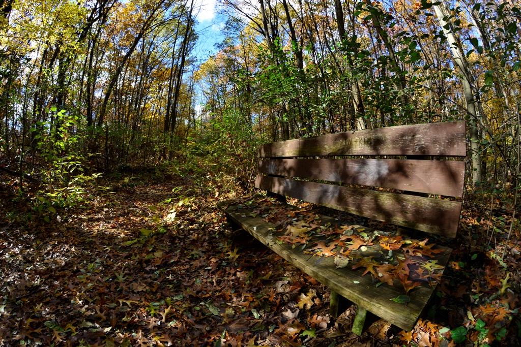 ott-park_07.jpg