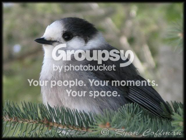 IMG_4300copy.jpg