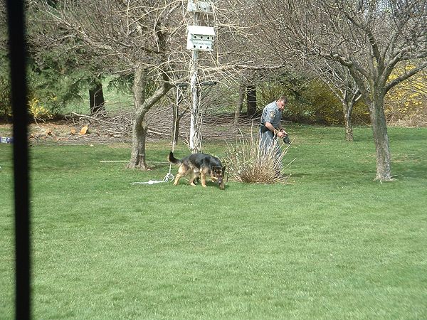 20040420Dogsearch05.jpg