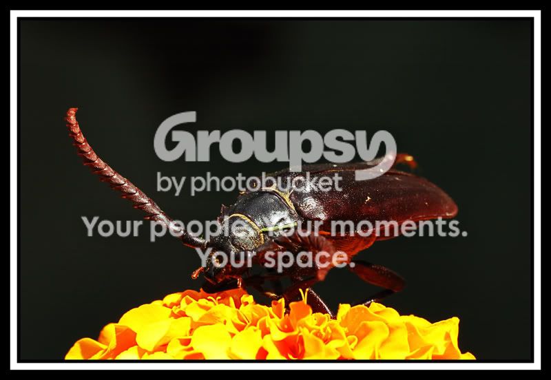 2008-08-09_20web.jpg