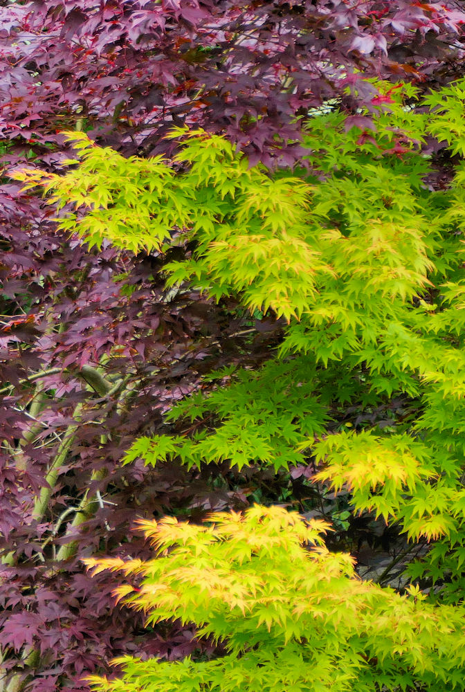 P1000268a.jpg