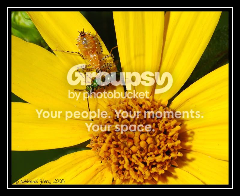 2008-08-17_31web.jpg