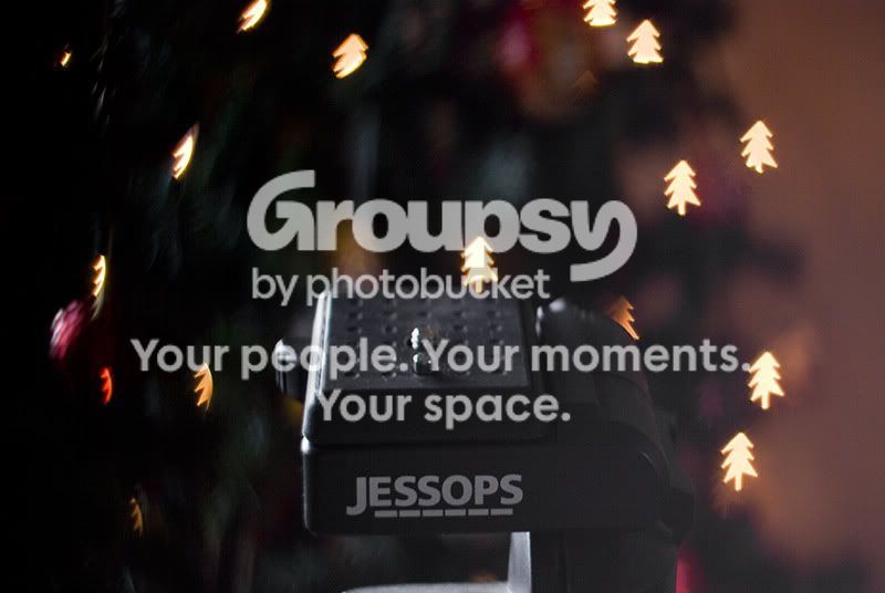 bokeh-tree.jpg