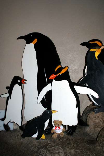 img2299psrsmj8.jpg