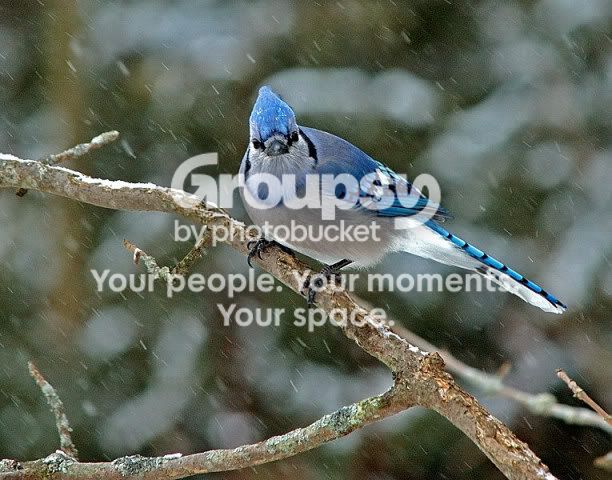 DSC_30580229websize0844websize.jpg