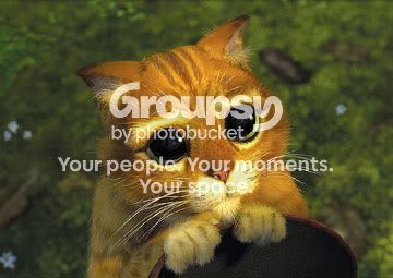 pussbigeyes.jpg