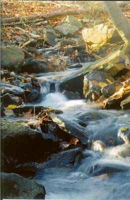 waterfall.jpg