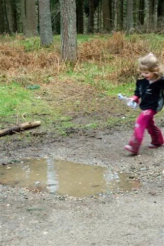 2ndPuddleJump2LargeSmall.jpg