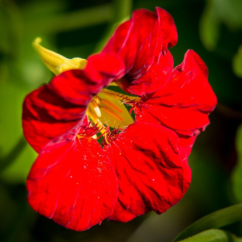 20120814-_MG_4565.jpg