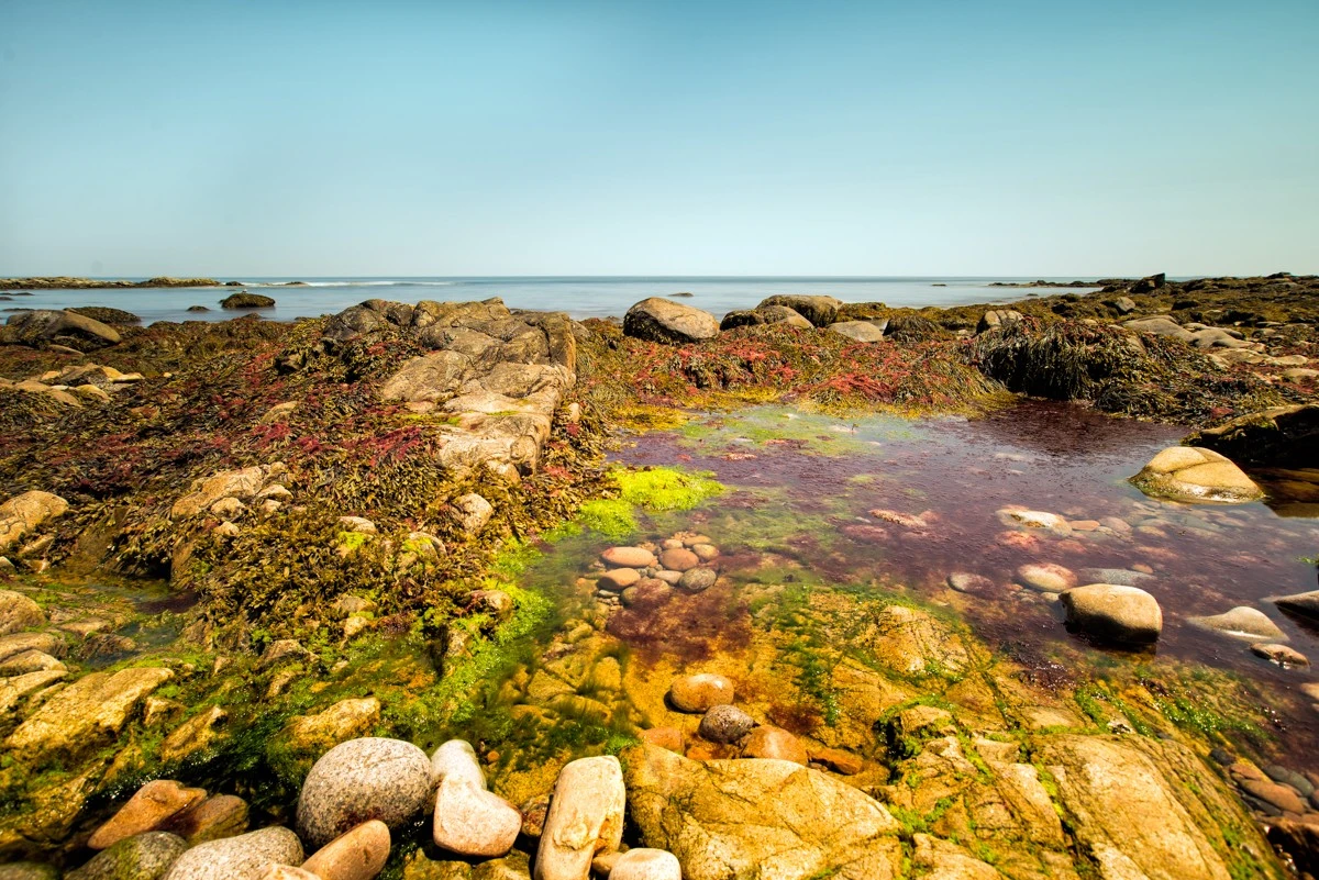 rockport-tide-pool-jpg.143829