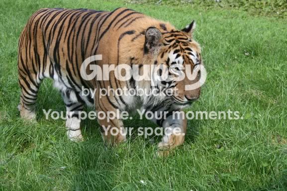 Zoo067.jpg