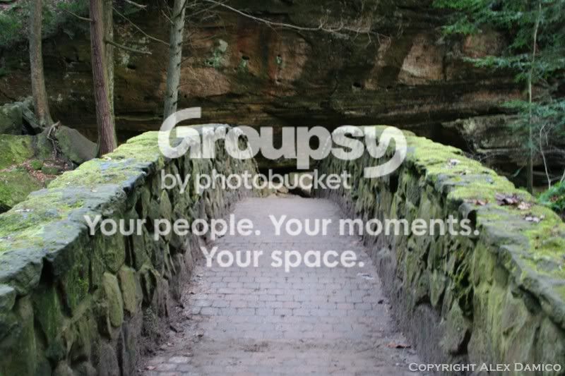 Bridge.jpg