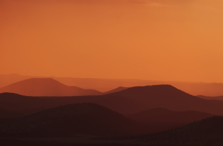 Picture+58.png